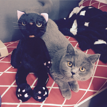 Cats Stuffed Toys