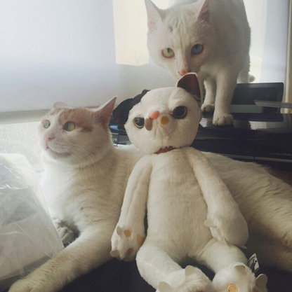 Cats Stuffed Toys